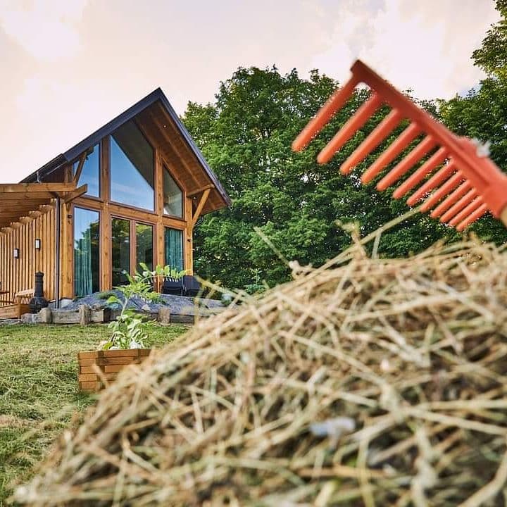 Domek Widokówki z kwiatami na tle łąki